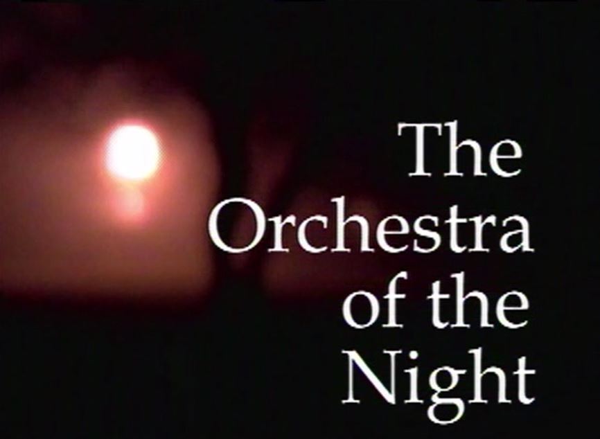 the orchestra of